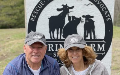 A Farewell From Spring Farm Sanctuary and the Future of Their Residents
