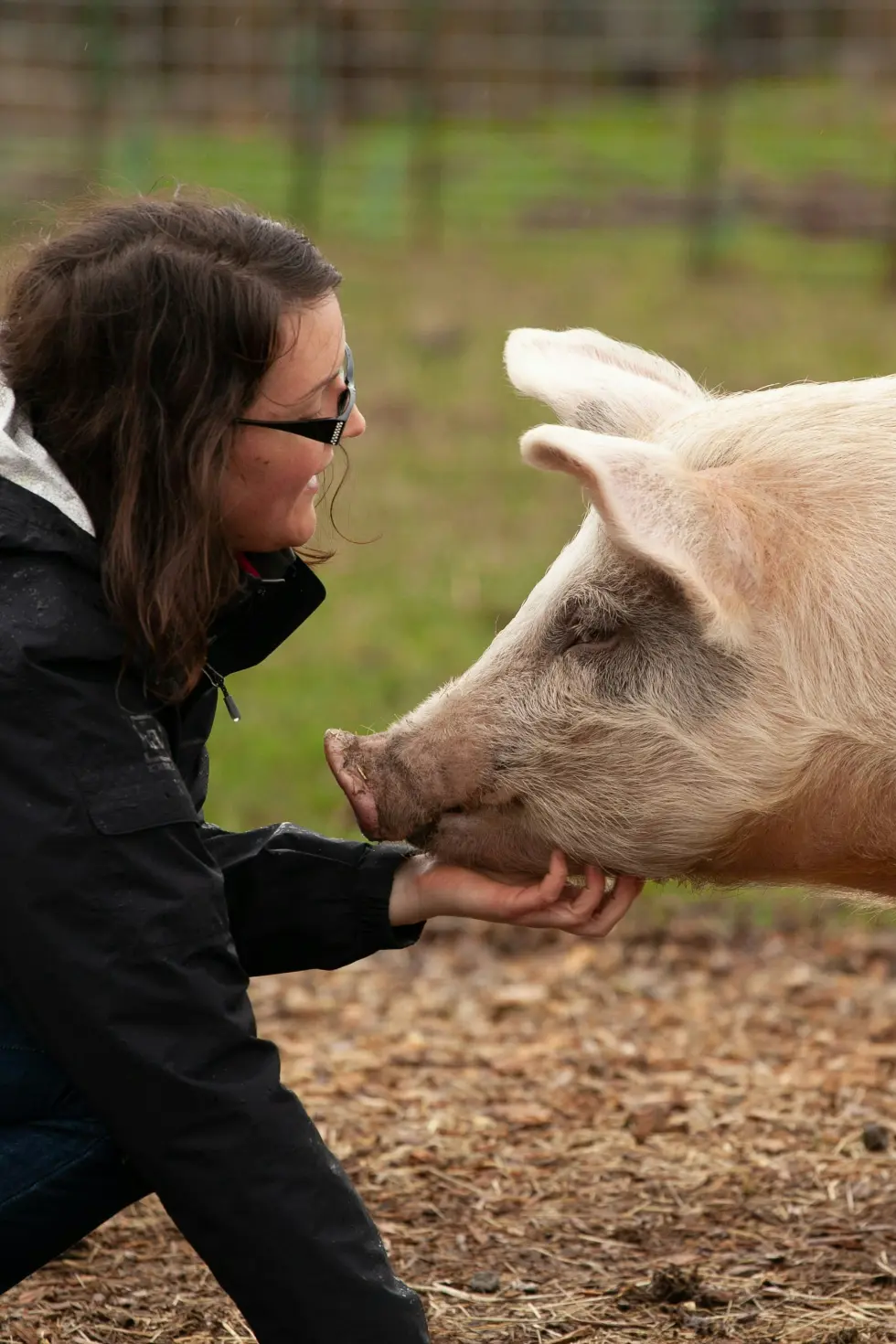 Divi surfing website