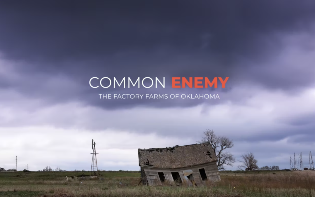 Common Enemy: Documentary Discussion & Director Q&A (Virtual)