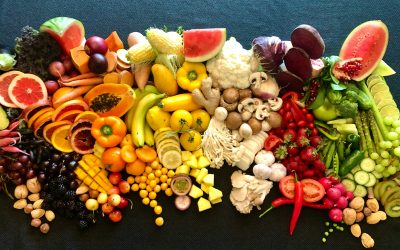 A Gift for Your Gut: A Primer Adapted From the Work of Dr. Will Bulsiewicz